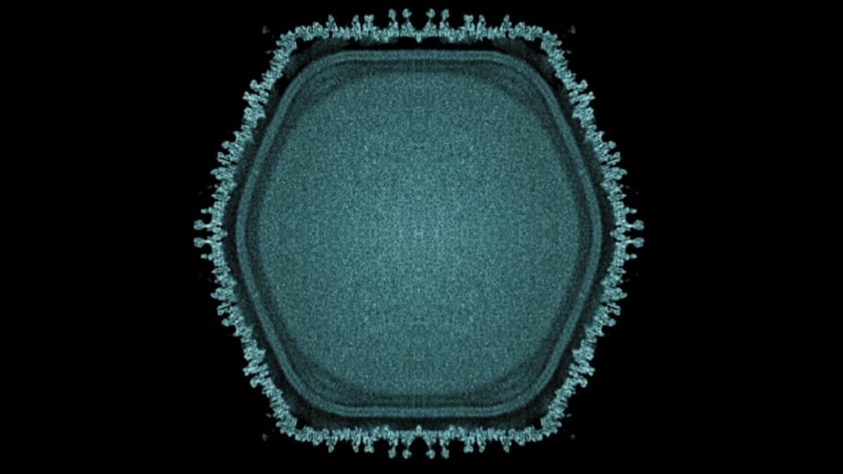 Gölette gizemli dev virüs bulundu: Yaşamın tarihi yeniden yazılıyor