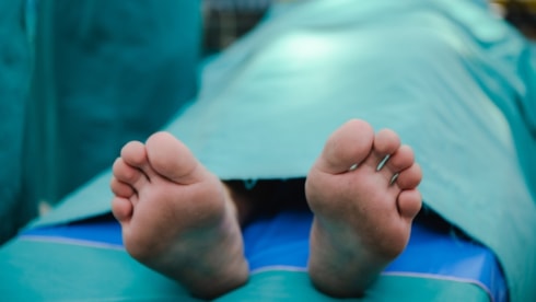 Türkiye'de bulamadılar, ithal edilecek! 