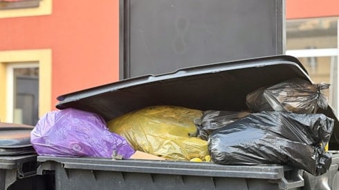 Sakın çöpe atmayın: Kışın biriktirip yazın ziyafet çekiyorlar