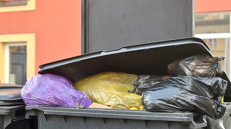 Sakın çöpe atmayın: Kışın biriktirip yazın ziyafet çekiyorlar