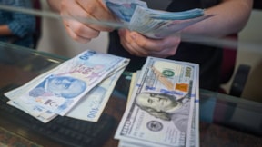Dolar/TL rekorun ardından yatay seyrediyor
