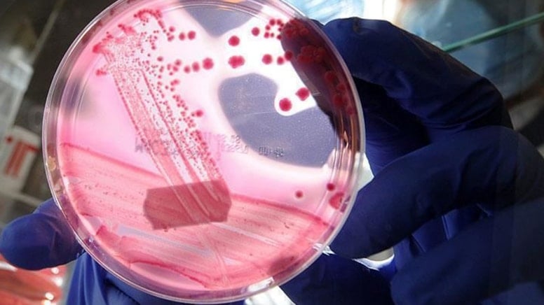 DSÖ'den kanser açıklaması: Dünya genelindeki vakaların 4'te 1'i önlenebilir