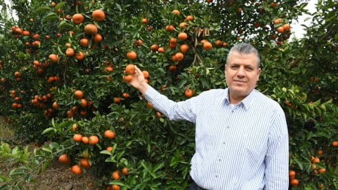 CHP'li vekilden iktidara pestisit çıkışı