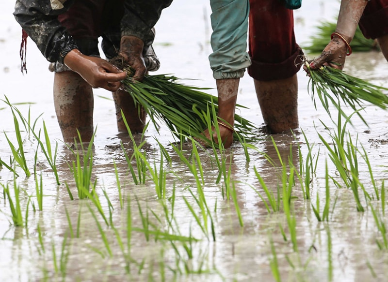 Yaşama yeniden yön veren keşif 