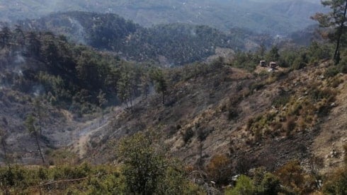 Muğla'da ciğerlerimiz üç gündür yanıyor! Yangının nedeni belli oldu