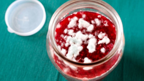 Küfleri temizlenmiş reçel yenilebilir mi?