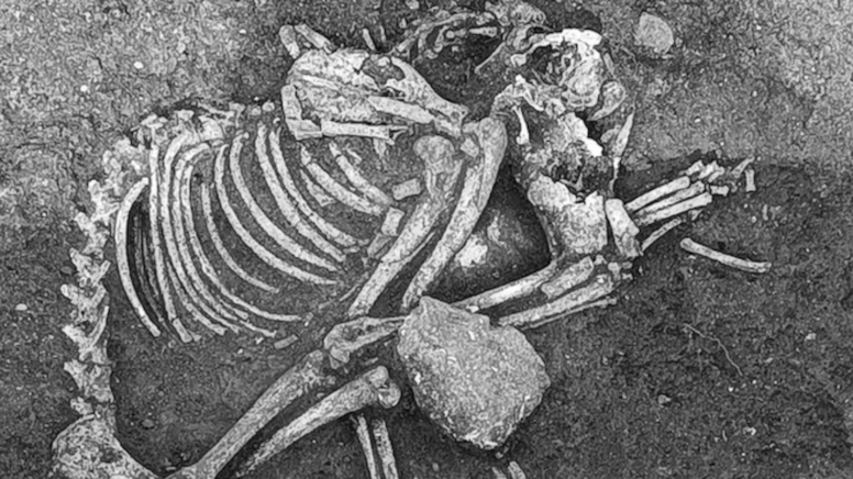 Bulgaristan'daki insanların köpek eti yemesi meğer yokluktan değilmiş