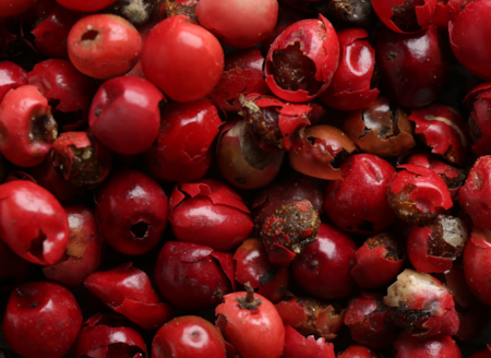 Portakal ya da mandalina değil bir avucu 20 kat C vitamini deposu